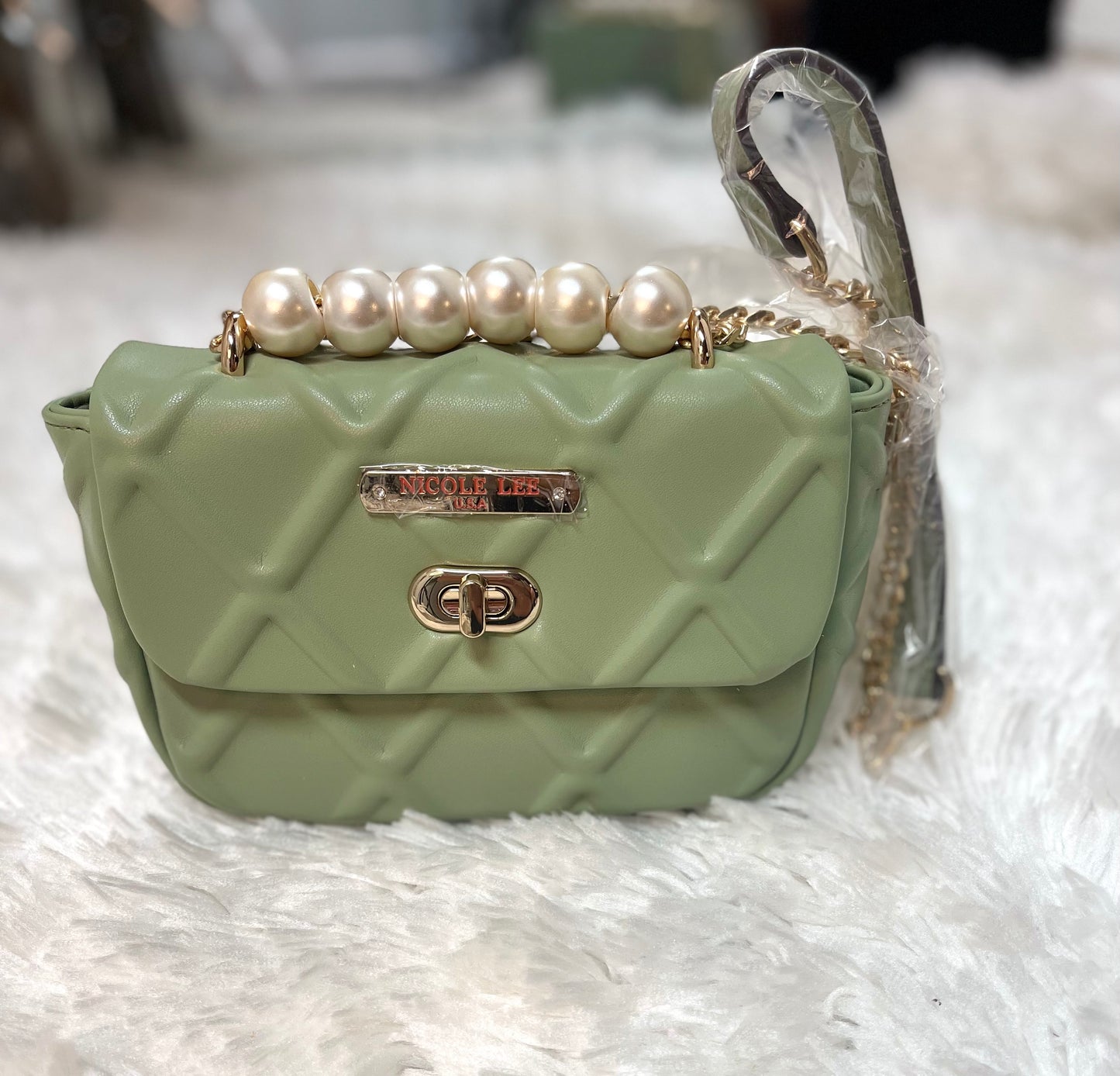 Light Green Bag